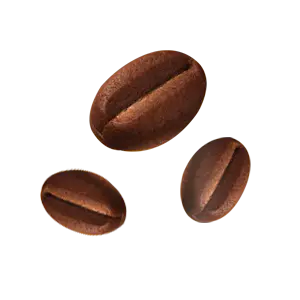 Evästeet